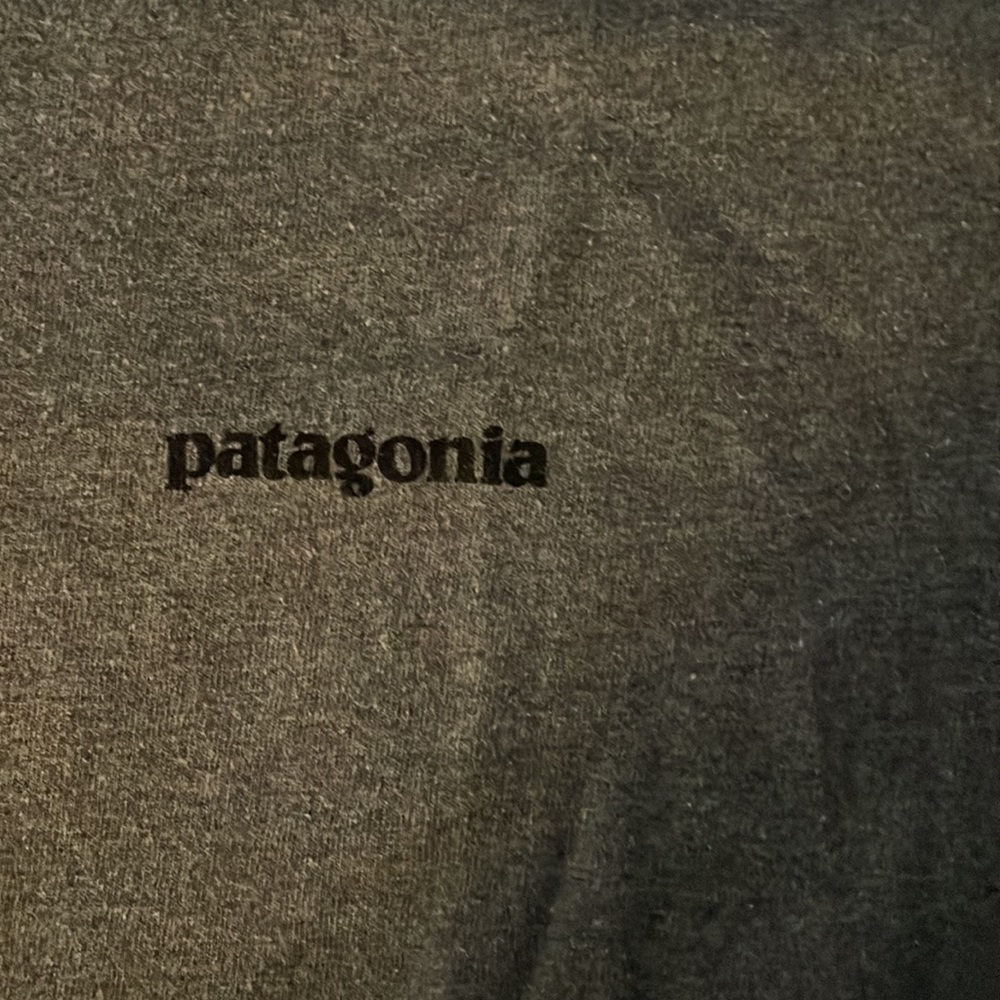 Mens long sleeve Patagonia T-shirt